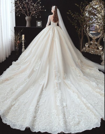 Ball Gown Wedding Dress With Sleeves Lace Bridal Gown